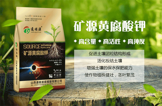 山西通顺源腐植酸股份有限公司4.jpg