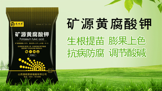 山西通顺源腐植酸股份有限公司3.jpg